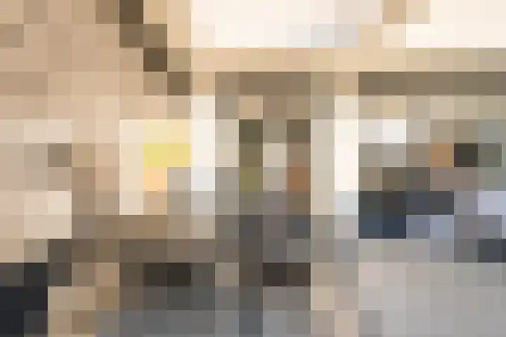 Beethovenlaan 18 Helmond thumbnail 30