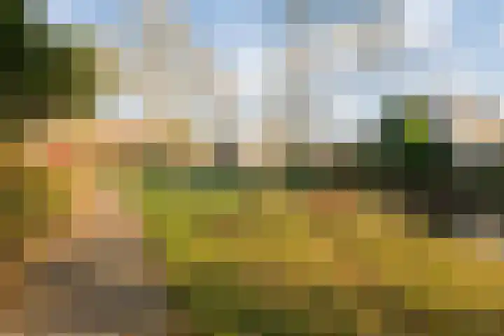 Beethovenlaan 18 Helmond thumbnail 32
