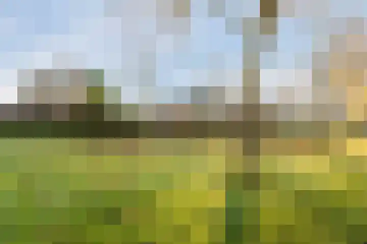 Beethovenlaan 18 Helmond thumbnail 33