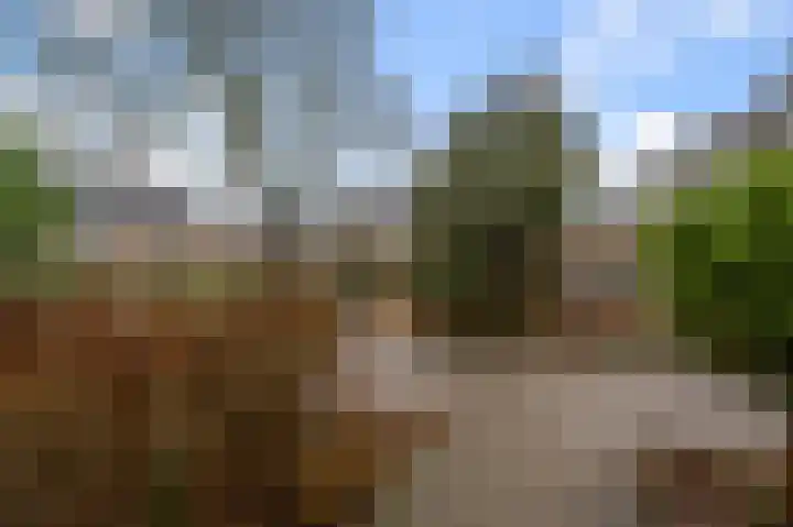 Beethovenlaan 18 Nieuwkoop thumbnail 39