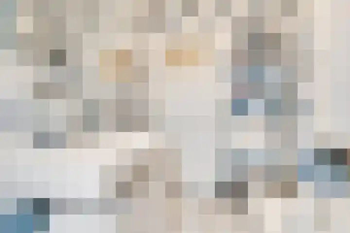 Beethovenlaan 18 Utrecht thumbnail 24