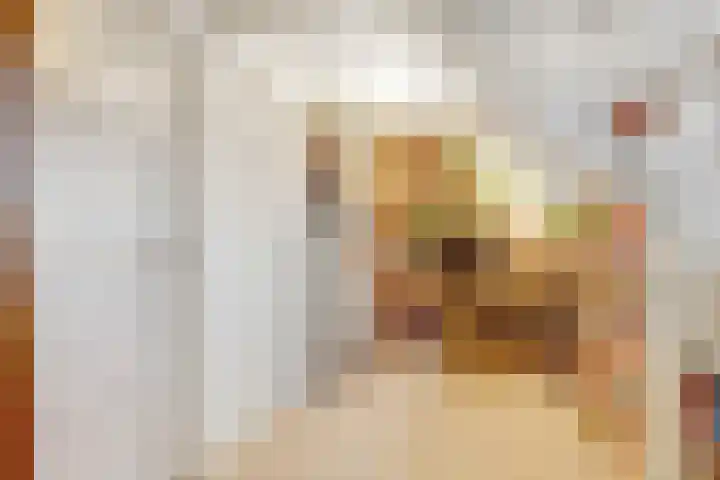 Beethovenlaan 18 Utrecht thumbnail 33