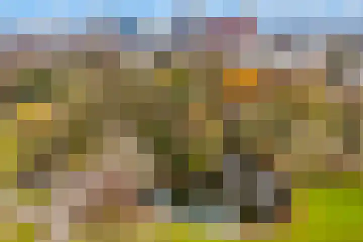 Beethovenlaan 18 Utrecht thumbnail 40