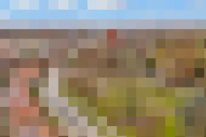 Beethovenlaan 18 Utrecht thumbnail 42