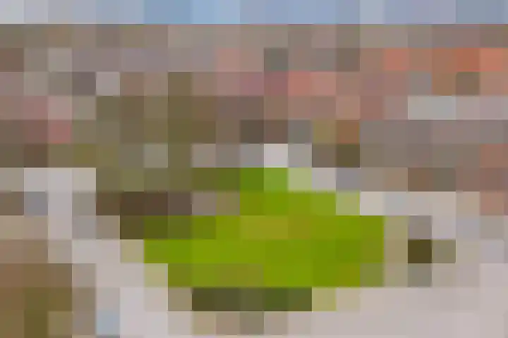 Beethovenlaan 18 Utrecht thumbnail 43
