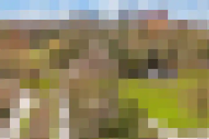 Beethovenlaan 18 Utrecht thumbnail 6