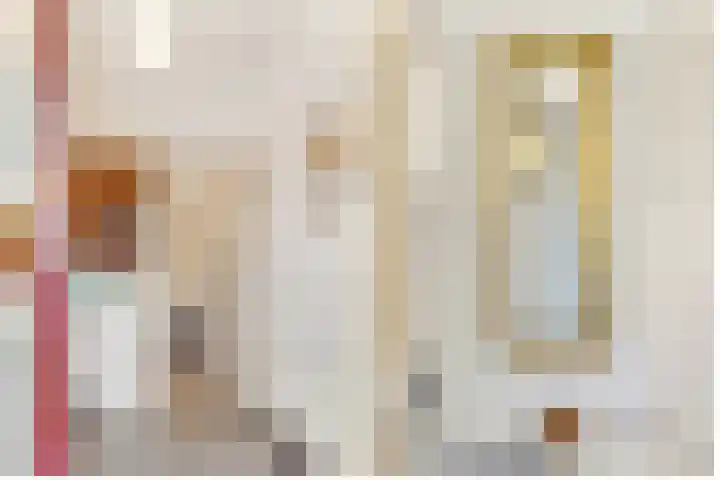 Beethovenlaan 18 Utrecht thumbnail 7