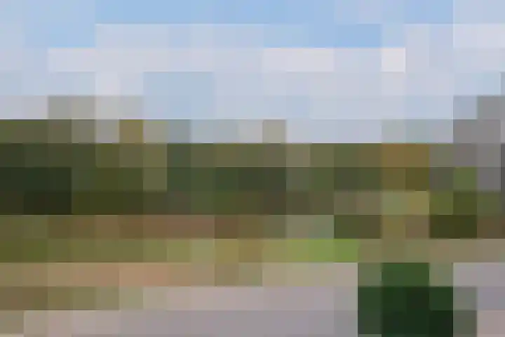 Beethovenlaan 185 Almelo thumbnail 13