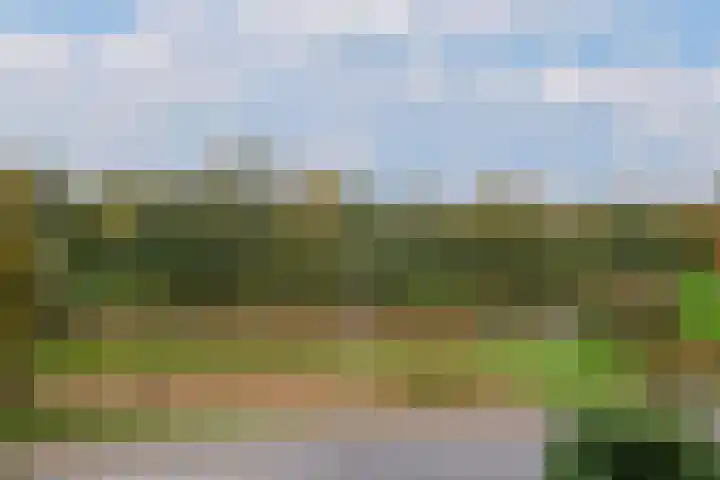 Beethovenlaan 185 Almelo thumbnail 27