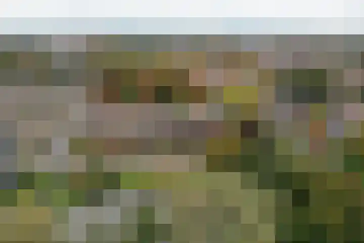 Beethovenlaan 185 Almelo thumbnail 29