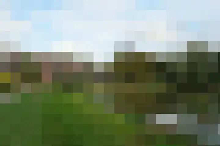 Beethovenlaan 185 Almelo thumbnail 33