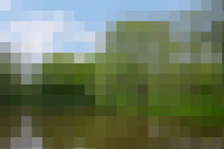 Beethovenlaan 185 Almelo thumbnail 34