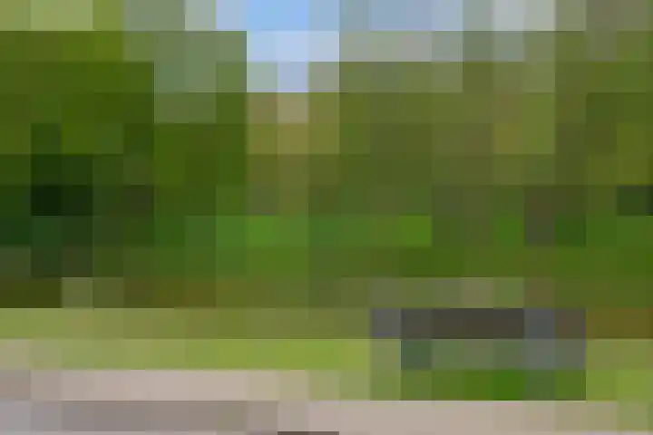 Beethovenlaan 185 Almelo thumbnail 35