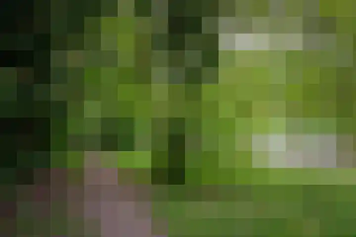 Beethovenlaan 185 Almelo thumbnail 36
