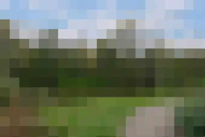 Beethovenlaan 185 Almelo thumbnail 37