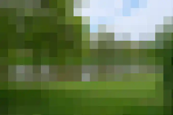 Beethovenlaan 185 Almelo thumbnail 38