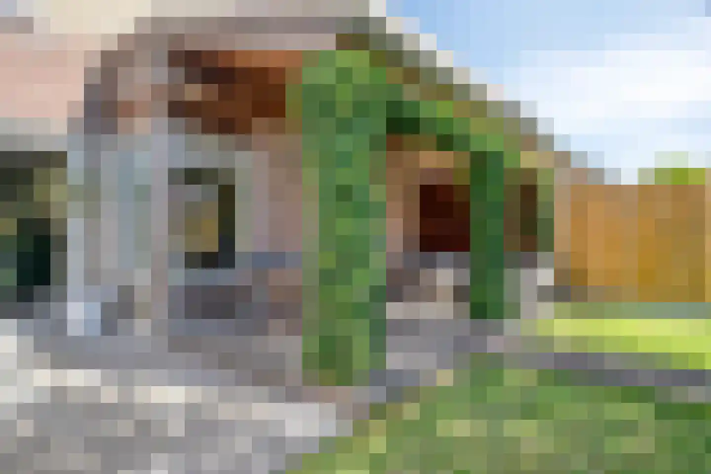 Beethovenlaan 19 Goes thumbnail 37