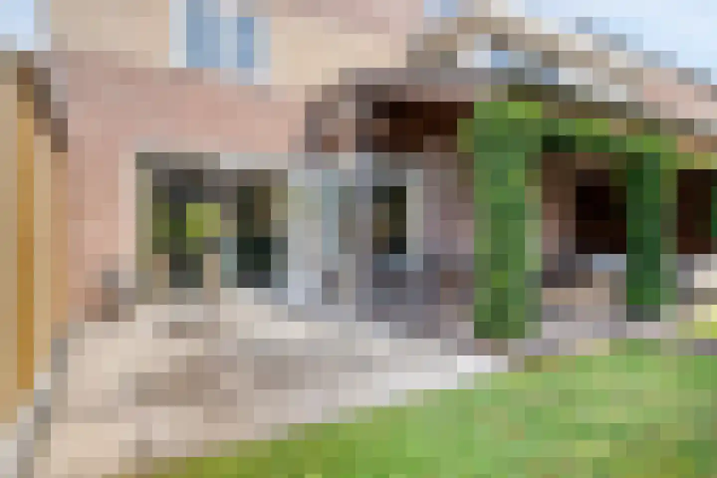 Beethovenlaan 19 Goes thumbnail 38