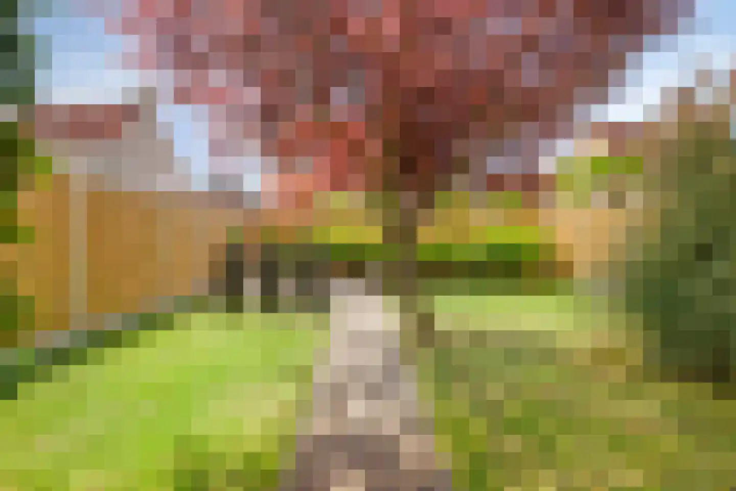 Beethovenlaan 19 Goes thumbnail 39