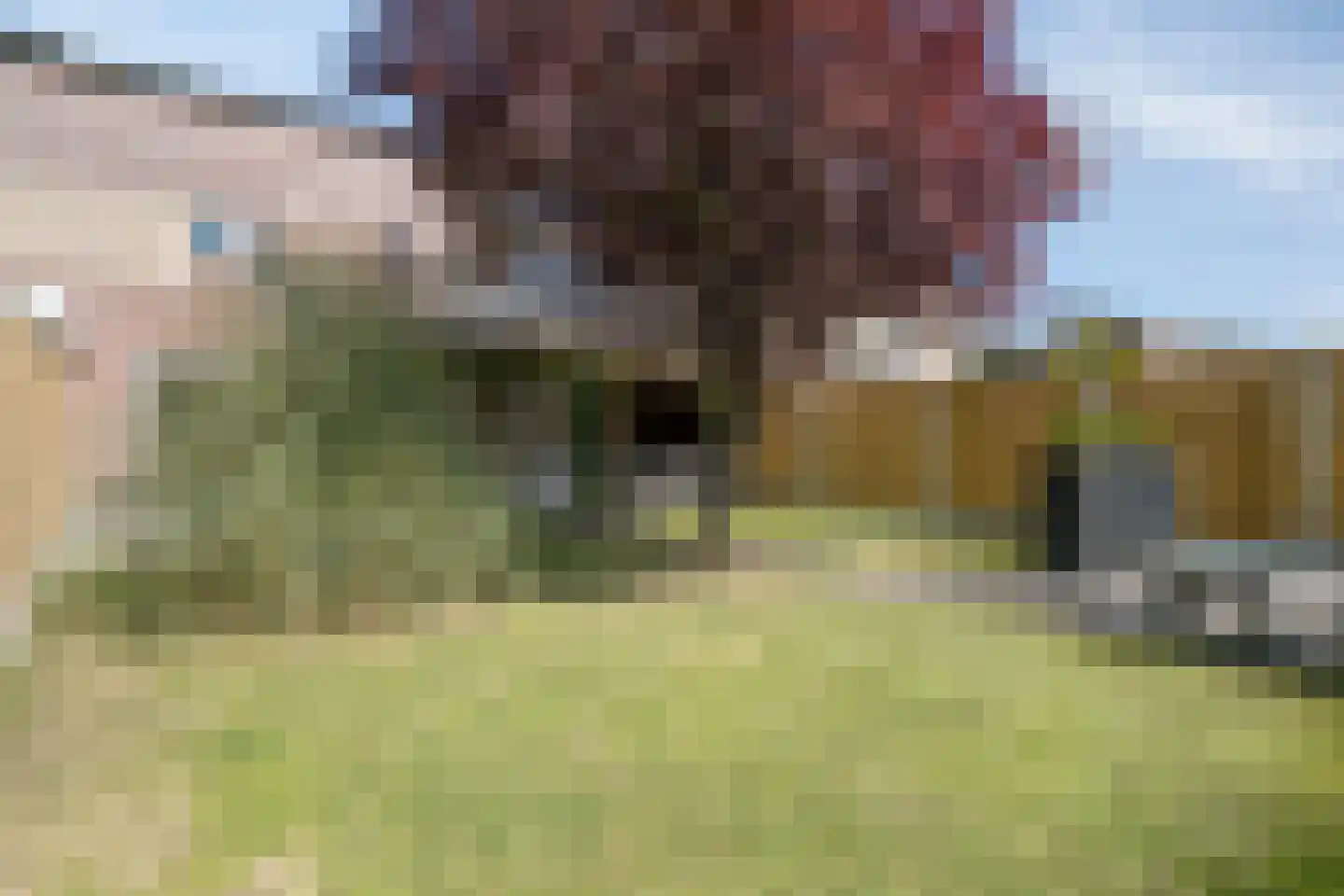 Beethovenlaan 19 Goes thumbnail 41