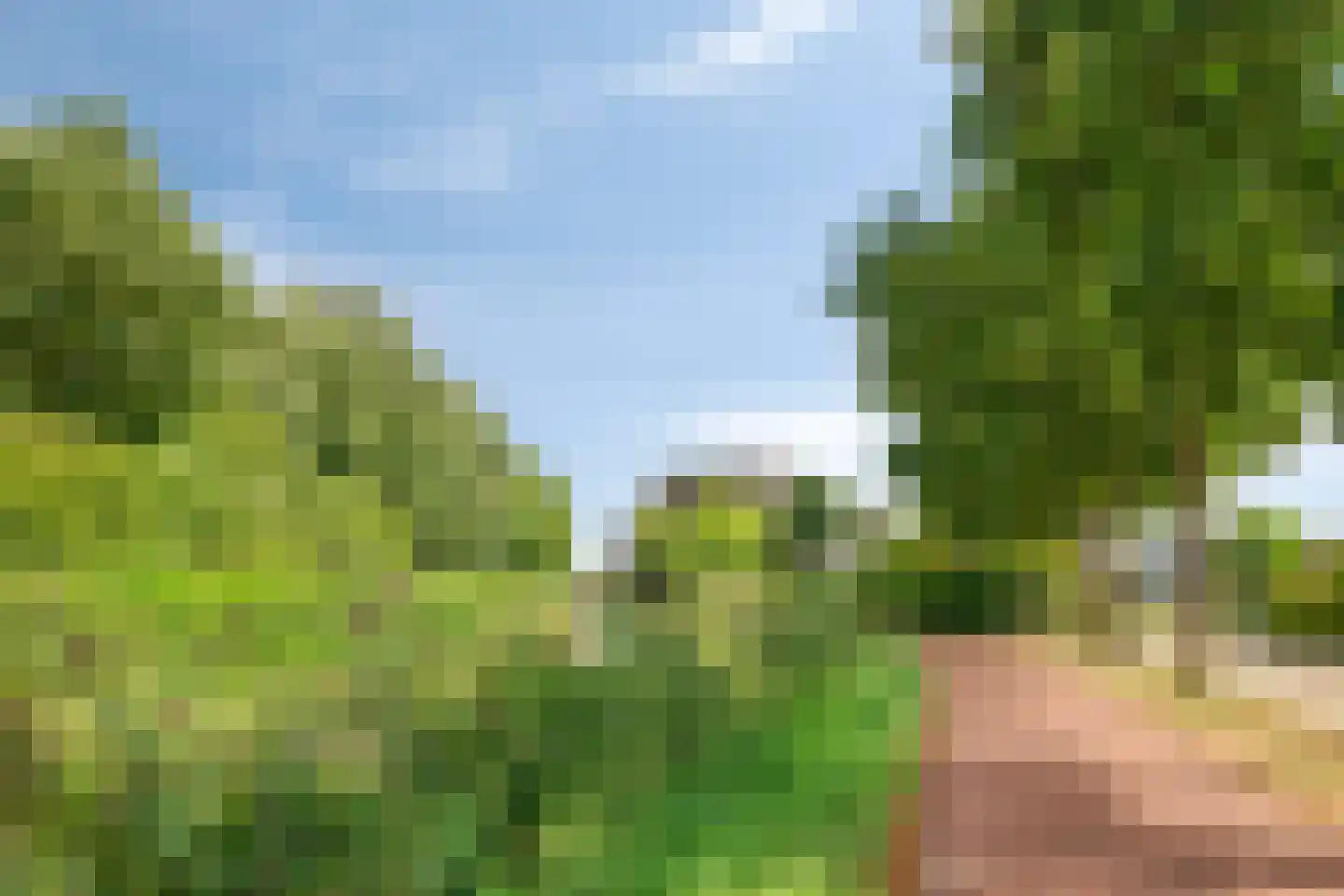 Beethovenlaan 19 Goes thumbnail 44