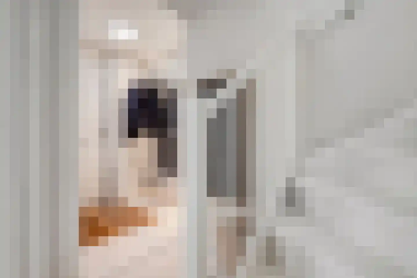 Beethovenlaan 19 Goes thumbnail 5