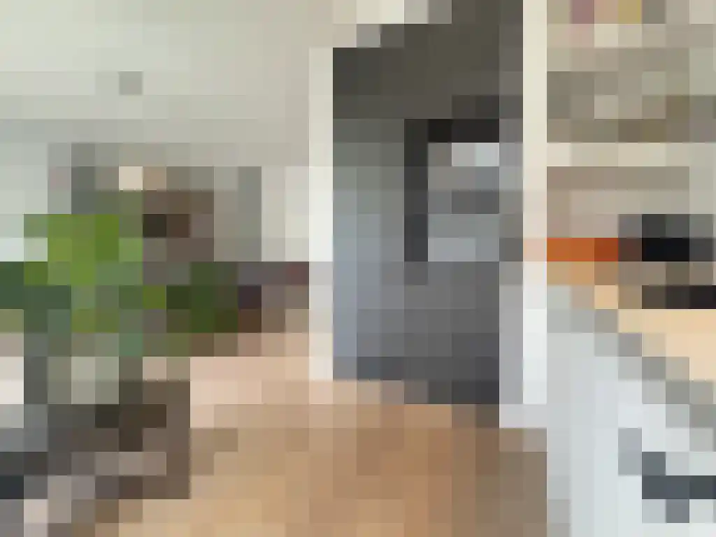 Beethovenlaan 19 Utrecht thumbnail 5