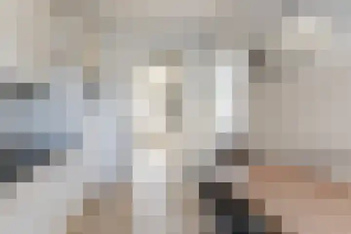 Beethovenlaan 199 Tilburg thumbnail 11