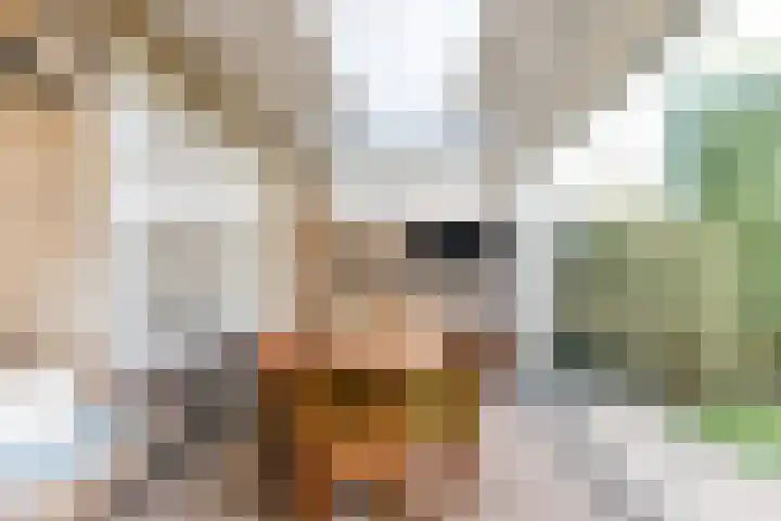 Beethovenlaan 199 Tilburg thumbnail 12