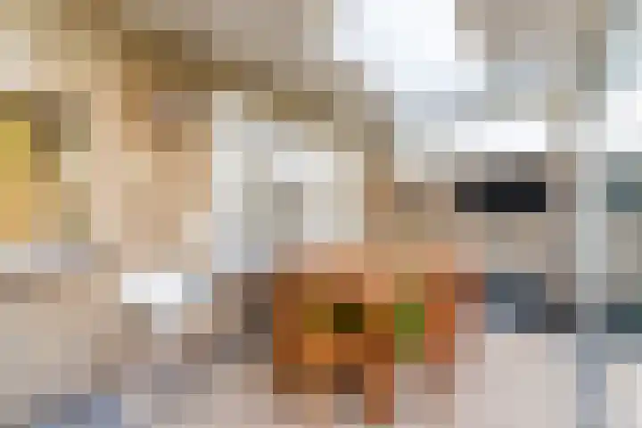 Beethovenlaan 199 Tilburg thumbnail 13