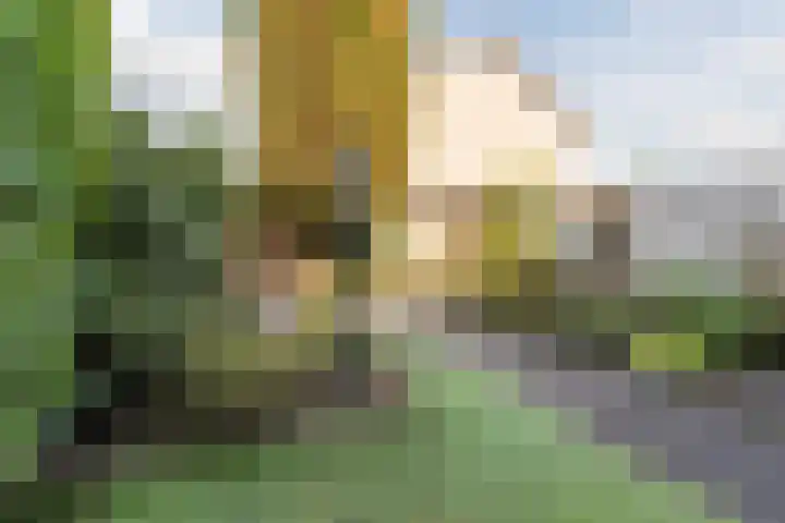 Beethovenlaan 199 Tilburg thumbnail 16