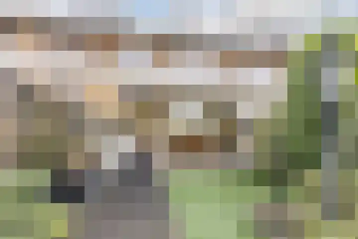 Beethovenlaan 199 Tilburg thumbnail 19