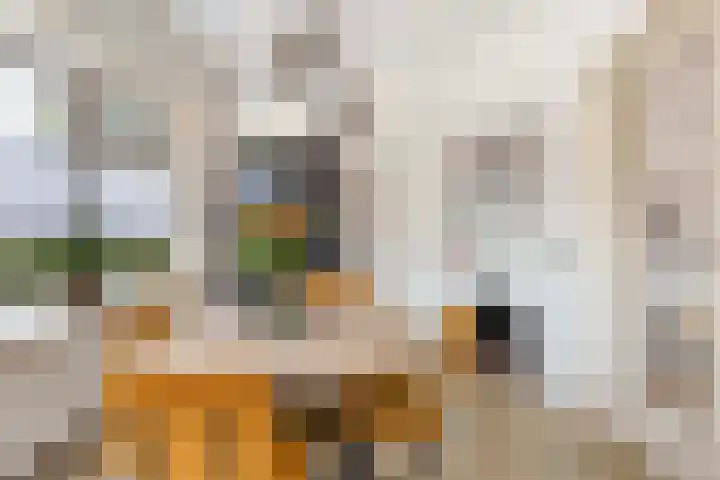 Beethovenlaan 2 Apeldoorn thumbnail 12