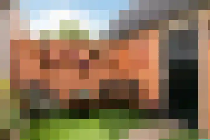 Beethovenlaan 2 Apeldoorn thumbnail 17