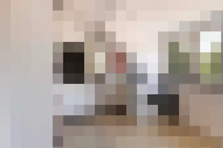 Beethovenlaan 2 Apeldoorn thumbnail 31
