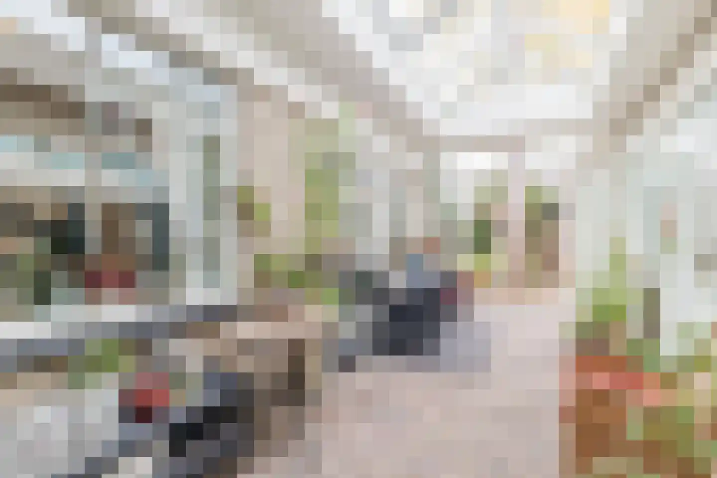 Beethovenlaan 2 Maarssen thumbnail 16