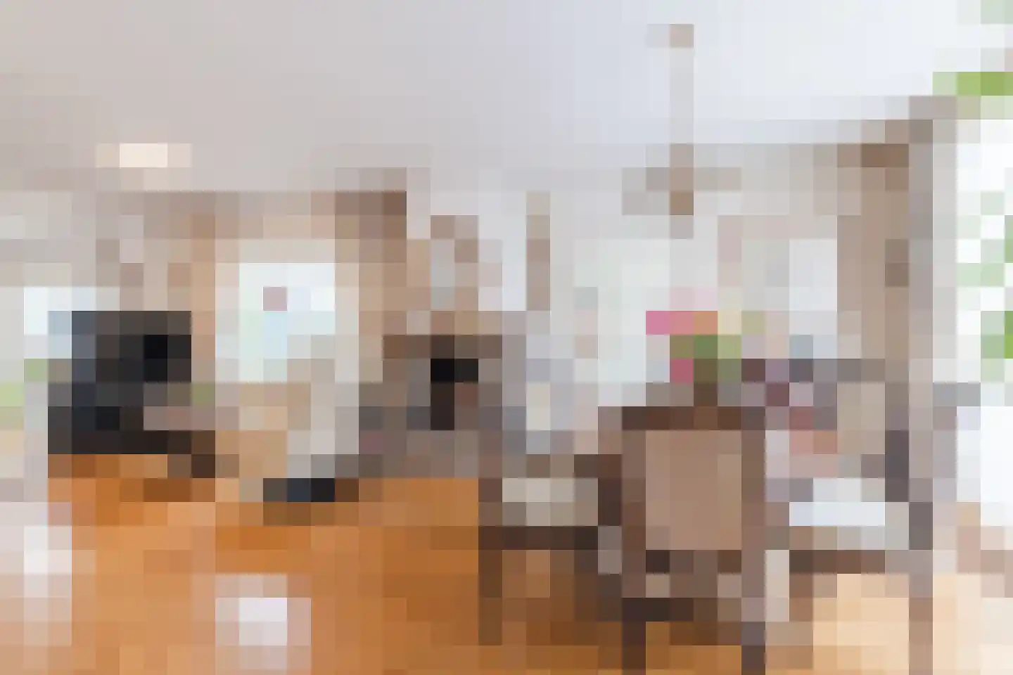 Beethovenlaan 2 Maarssen thumbnail 7