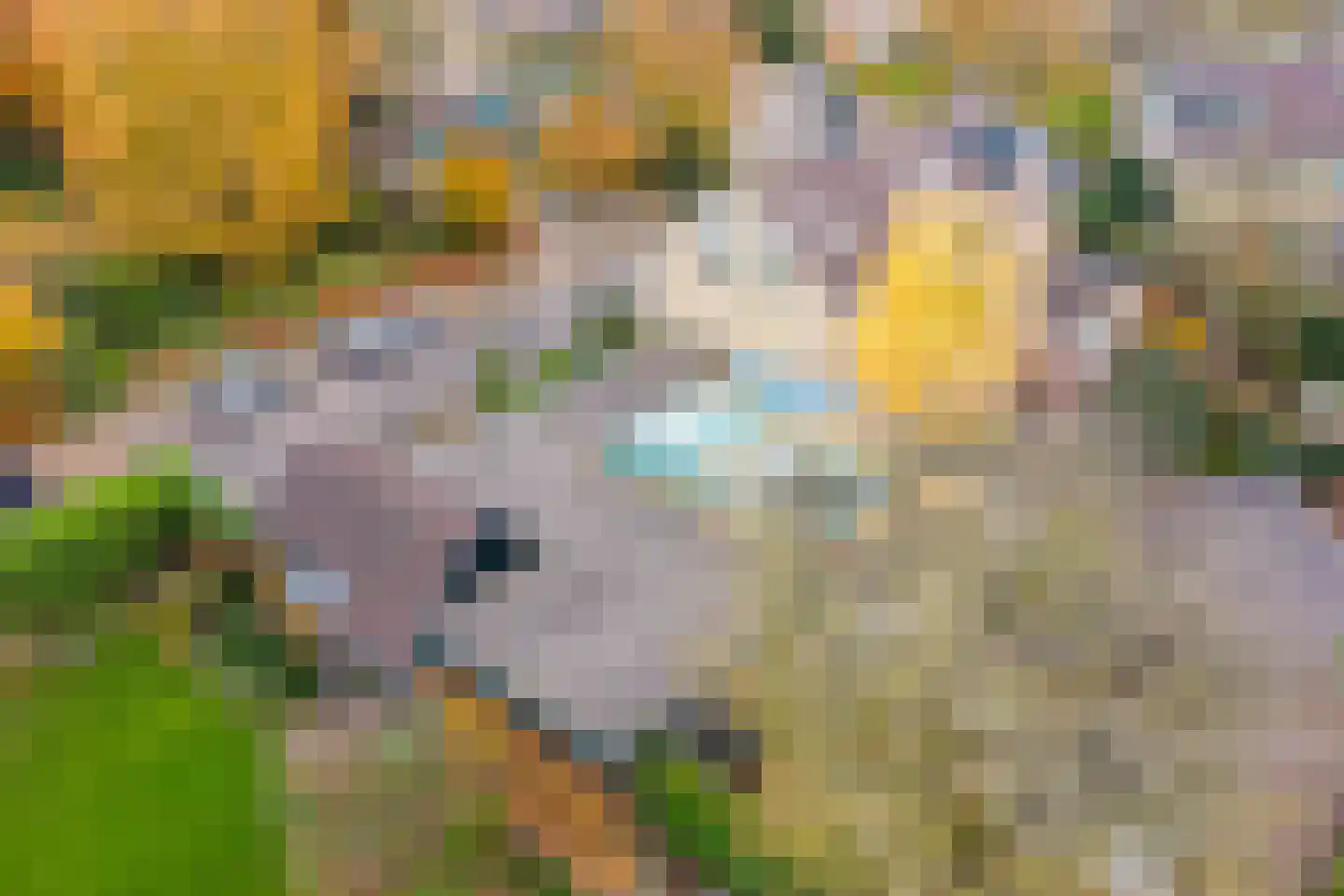 Beethovenlaan 2 Maarssen thumbnail 74