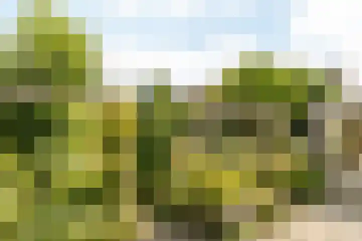 Beethovenlaan 2 Nuth thumbnail 24