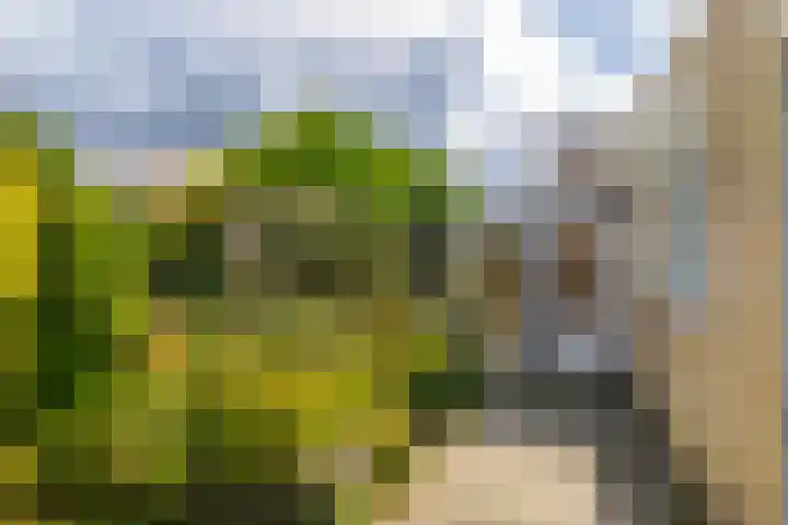 Beethovenlaan 2 Nuth thumbnail 26