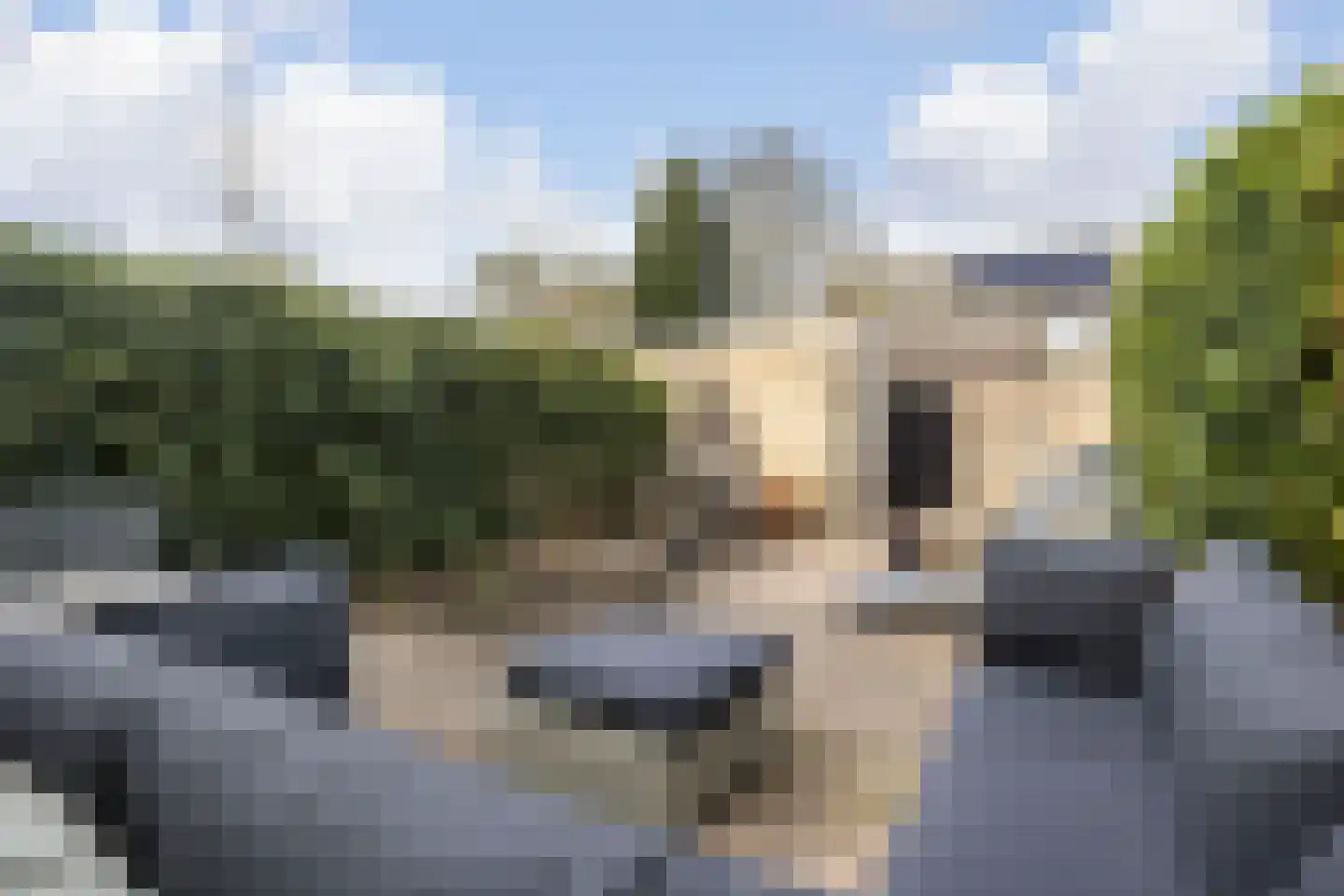 Beethovenlaan 21 Veenendaal thumbnail 4