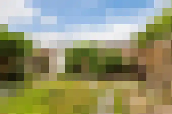 Beethovenlaan 211 Zwolle thumbnail 11