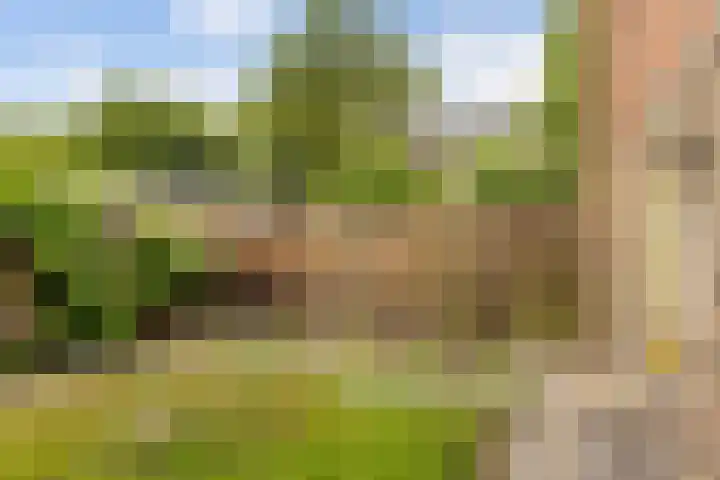 Beethovenlaan 211 Zwolle thumbnail 12