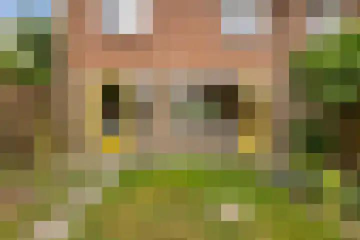 Beethovenlaan 211 Zwolle thumbnail 13
