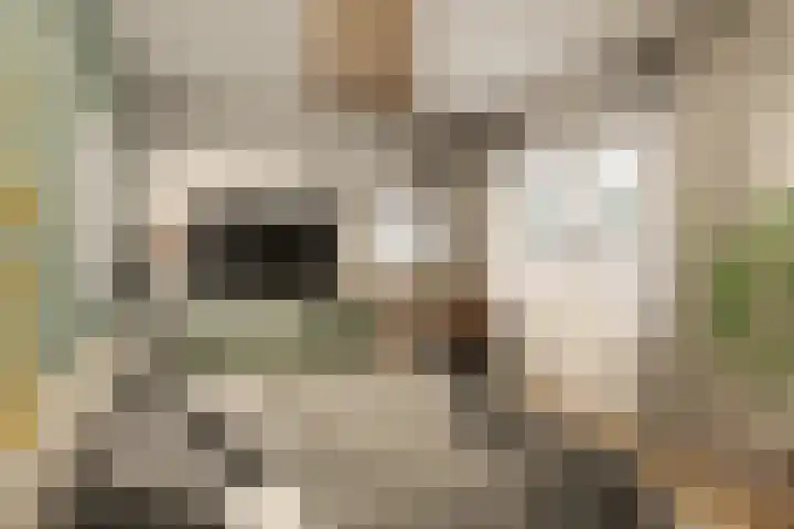 Beethovenlaan 211 Zwolle thumbnail 18