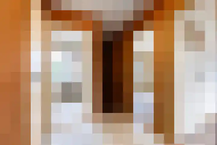 Beethovenlaan 211 Zwolle thumbnail 23