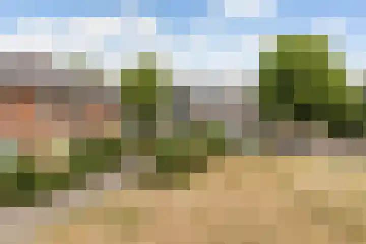 Beethovenlaan 211 Zwolle thumbnail 26