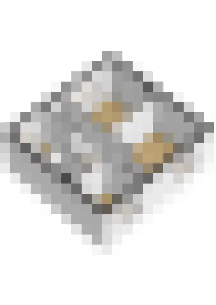 Beethovenlaan 211 Zwolle thumbnail 31