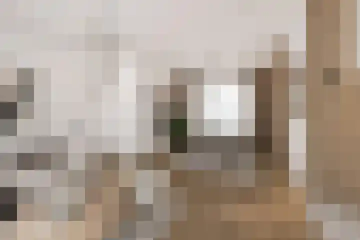 Beethovenlaan 211 Zwolle thumbnail 8