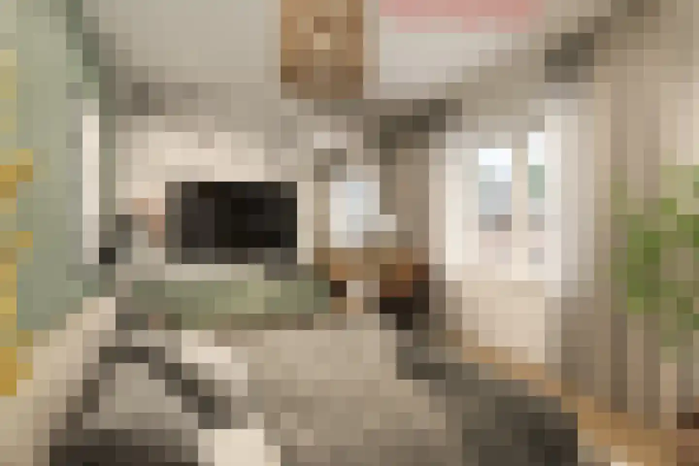 Beethovenlaan 215 Zwolle thumbnail 19